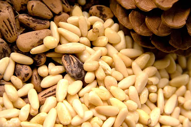 A background of pine nuts