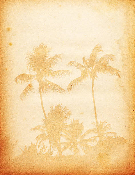 palm papier xxxl - oversized grunged old spotted zdjęcia i obrazy z banku zdjęć