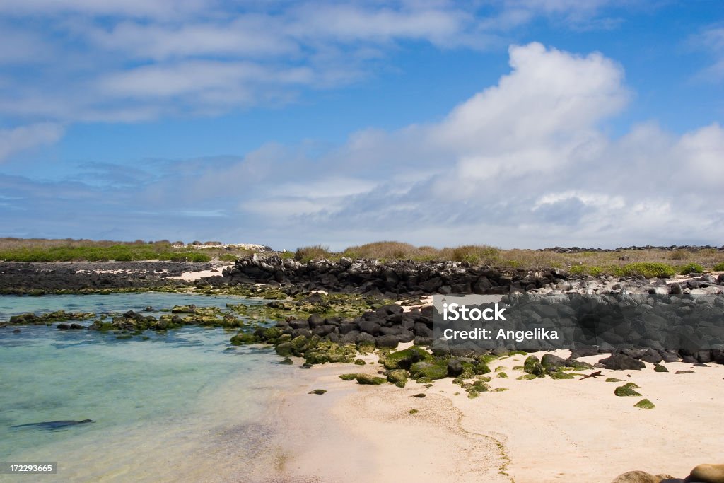 Galapagos Landschaft - Lizenzfrei Amerikanische Kontinente und Regionen Stock-Foto