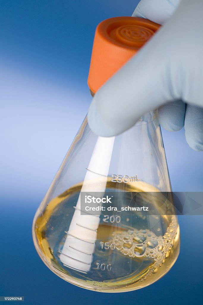 Bacterial culture Laboratory Flask Stock Photo