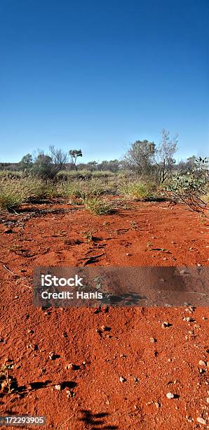 Tierra Roja De Australia Foto de stock y más banco de imágenes de Australia - Australia, Desierto, Rústico