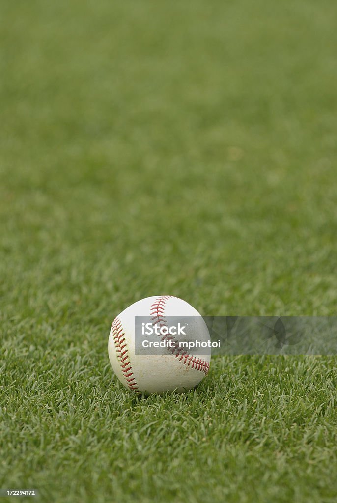 Baseball on the outfield Close-up shot of a professional baseball lying on the field of green grass American Culture Stock Photo