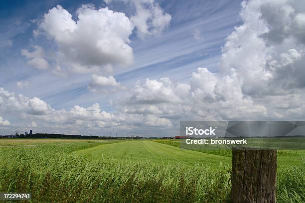 Foto de Grassland Com Fazendas E A Cidade e mais fotos de stock de Agricultura - Agricultura, Ajardinado, Aldeia