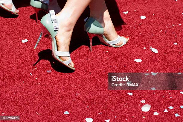 Red Carpet Event Stock Photo - Download Image Now - Red Carpet Event, Prime Minister, Women