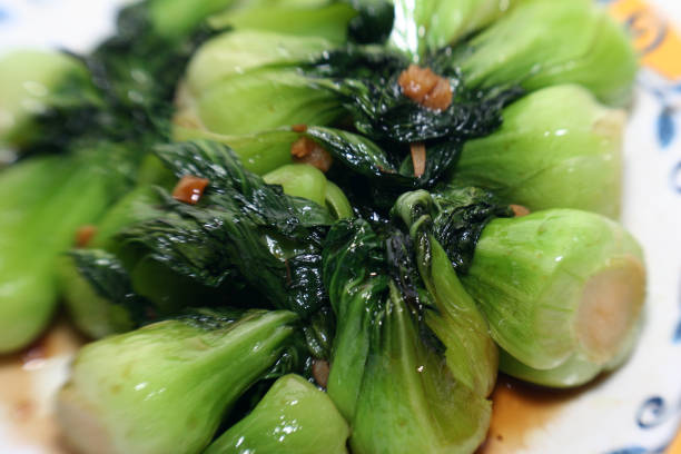 Bok Choy stock photo