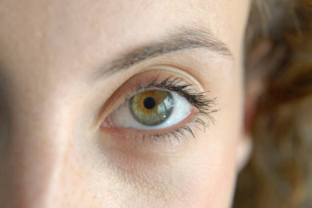 istock Close up of Eye 172295616