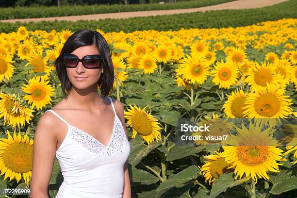 Girasol Hermosa Foto de stock y más banco de imágenes de Adulto - Adulto, Agricultura, Aire libre