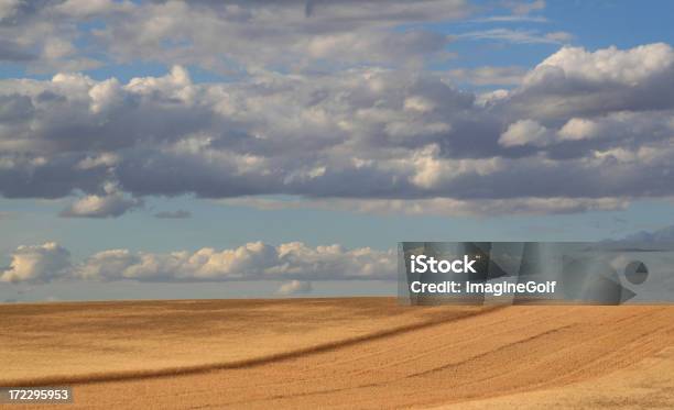 Weizen Ernte Stockfoto und mehr Bilder von Bildhintergrund - Bildhintergrund, Blau, Einfachheit