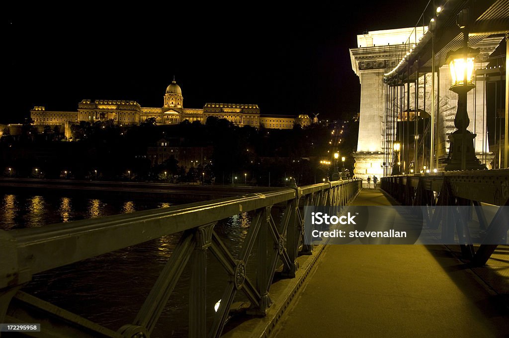 Palazzo reale - Foto stock royalty-free di Budapest