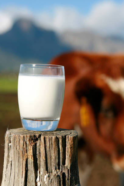 istock Glass of Milk 172296099