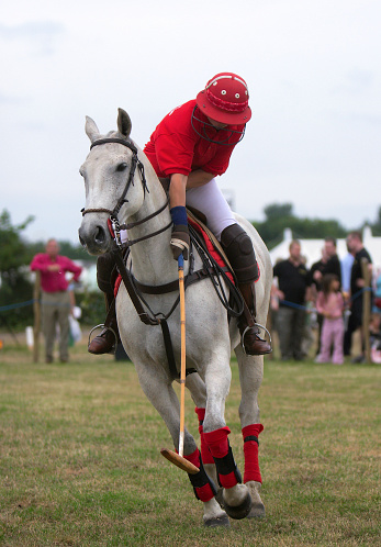 Polo player and pony