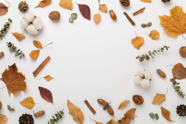 istock Autumn leaves with decor on color background, top view 1722961662