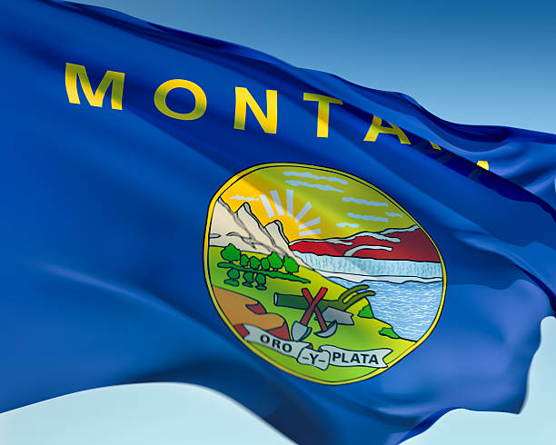 istock Flag of Montana 172296385