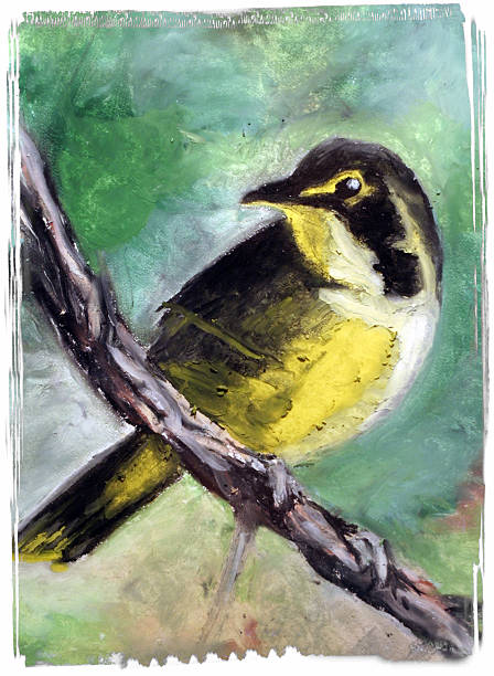 istock Painting of a Kentucky Warbler 172296460