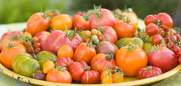 オーガニックで地元の食材の新鮮な夏のトレイ、エアルームトマト野菜ハーヴェスト - heirloom tomato homegrown produce tomato organic ストックフォトと画像