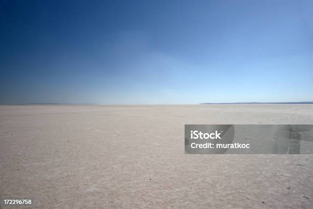 Empty Desert Stock Photo - Download Image Now - Desert Area, Salt - Seasoning, Abandoned