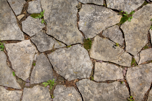 Stones and Moss