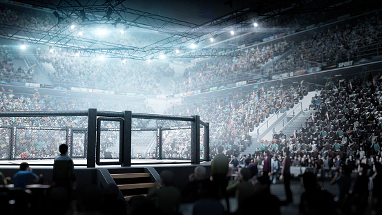 Fighting Championship. MMA octagon. Digital sport 3D. MMA cage night. Sport arena with fans and shining spotlights. Fight night. Full tribune. Sport