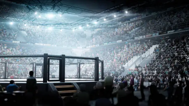 Photo of Fighting Championship. MMA octagon. Digital sport 3D. MMA cage night. Sport arena with fans and shining spotlights. Fight night. Full tribune