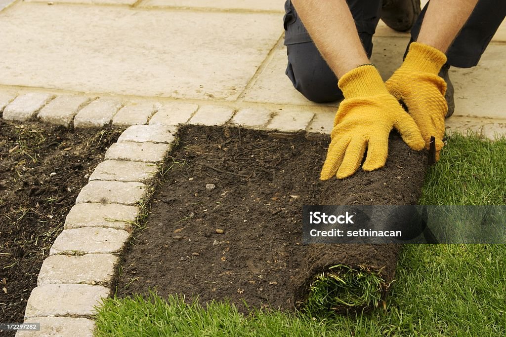 New terrains stabilisés - Photo de Champ de gazon libre de droits