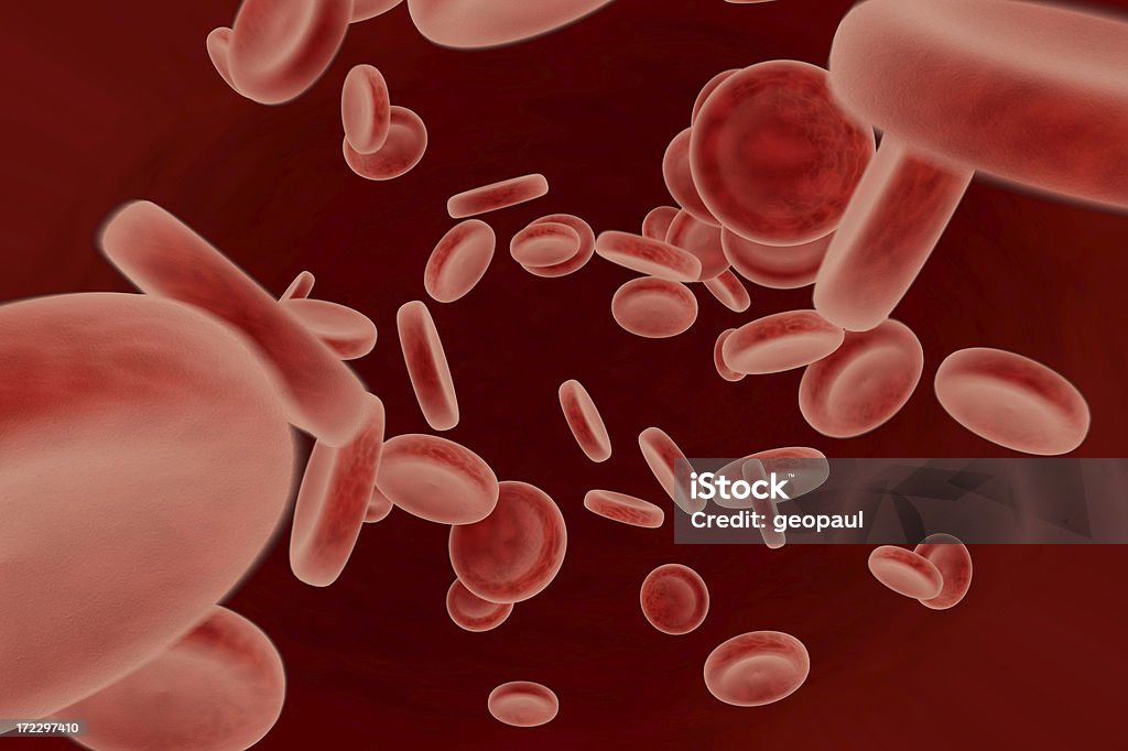 Globuli rossi - Foto stock royalty-free di Arteria umana