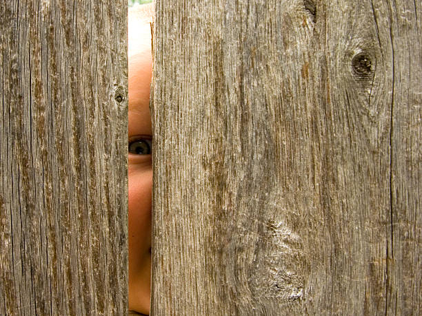 spähen - fence child neighbor peeking stock-fotos und bilder