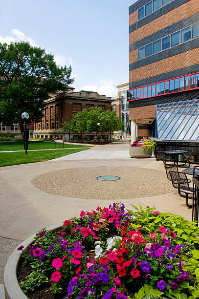 istock University of Minnesota, Minneapolis 172298054
