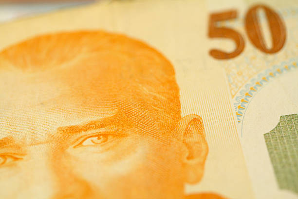 istock Turkish New Lira 172298173