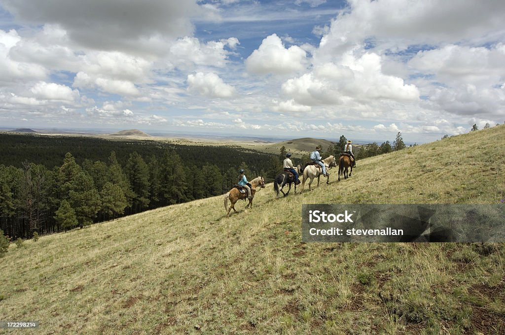 Cowboy - Foto de stock de Arizona royalty-free