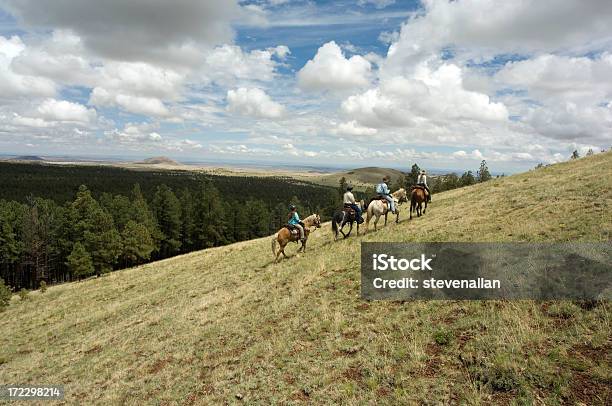 Foto de Cowboy e mais fotos de stock de Arizona - Arizona, Montanhas Brancas - Arizona, Animal doméstico