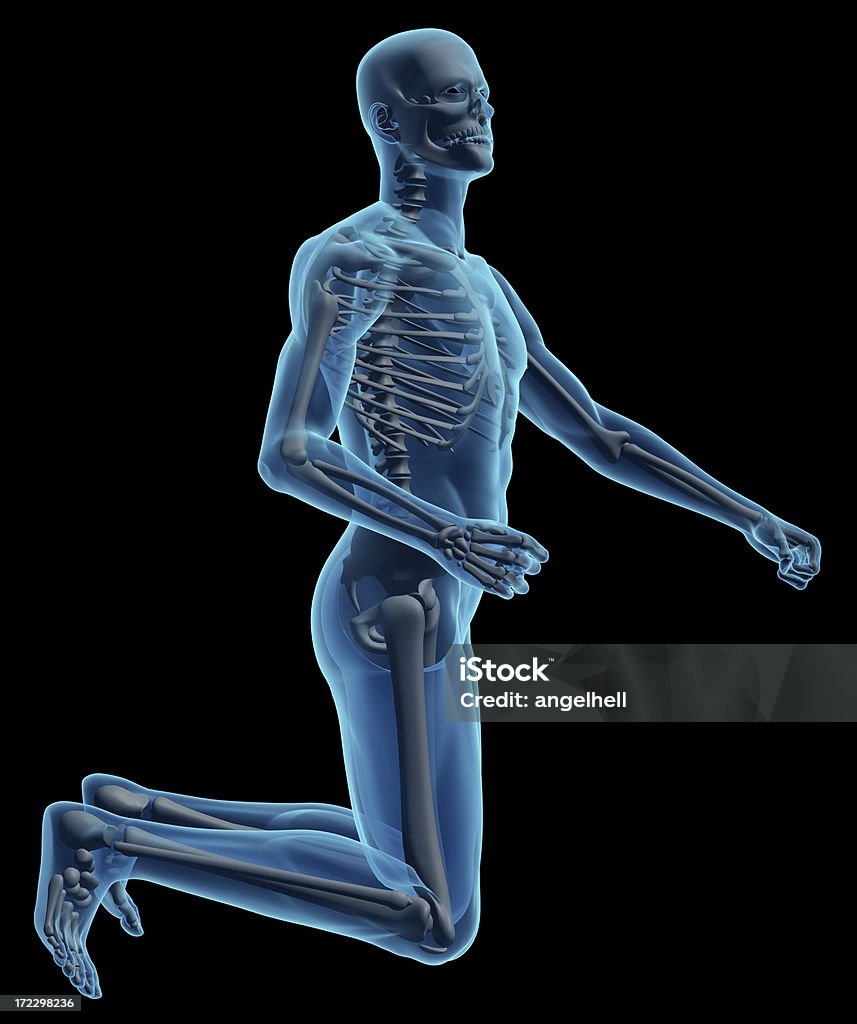 Corpo humano de um homem com um esqueleto de estudo - Foto de stock de Abdome royalty-free