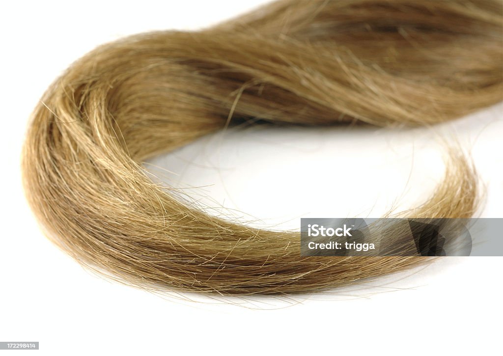 Hank de cabelo - Foto de stock de Cabelo Castanho royalty-free