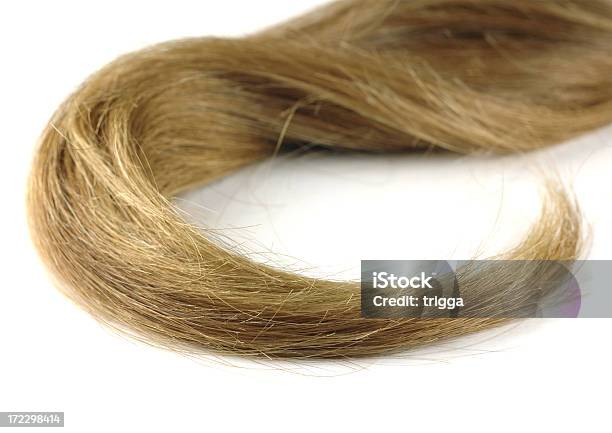 Foto de Hank De Cabelo e mais fotos de stock de Cabelo Castanho - Cabelo Castanho, Cabelo Comprido, Cabelo Humano