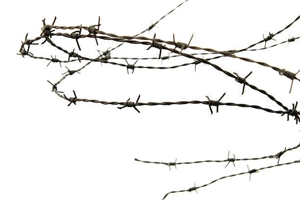 barbwire III knotty barbwire barbed wire photos stock pictures, royalty-free photos & images