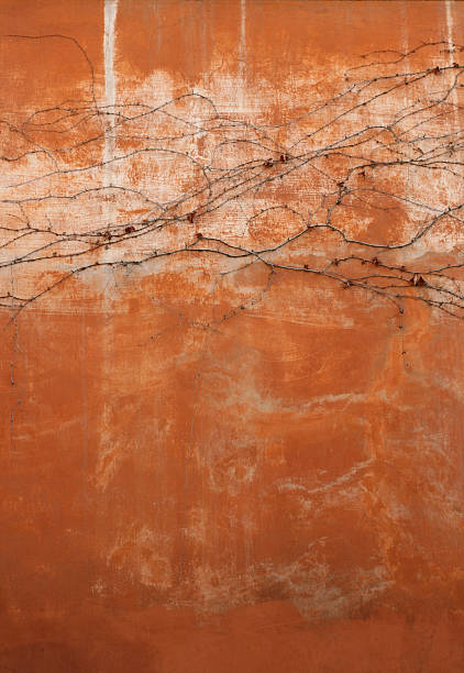 terracotta-farben römischen mauer mit dead plant - roman italian culture wall textured stock-fotos und bilder