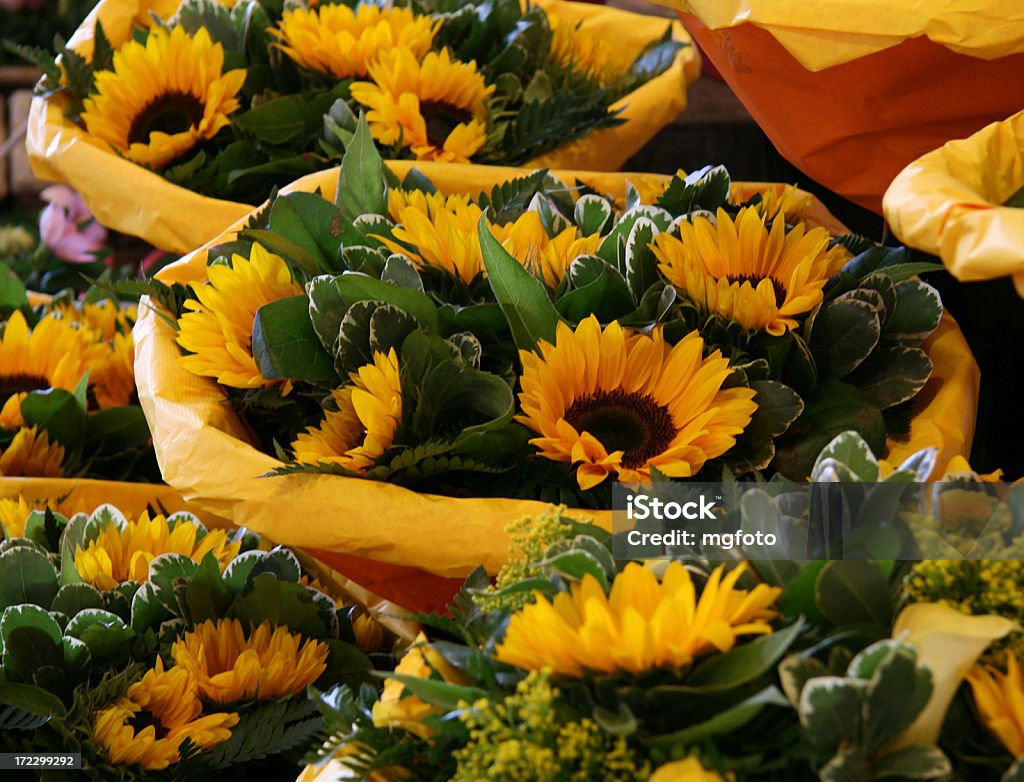 Flores - Royalty-free Amarelo Foto de stock