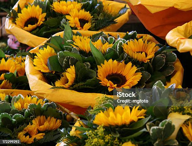 Flores - Fotografias de stock e mais imagens de Amarelo - Amarelo, Balde, Beleza
