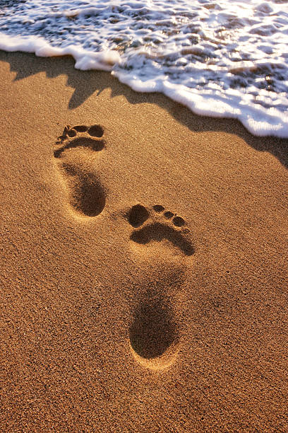 istock Footprints about to be washed away by the surf 172300005