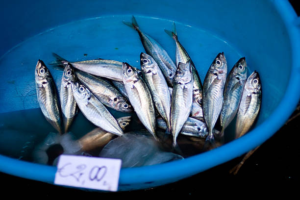 Fish market in Sicily stock photo