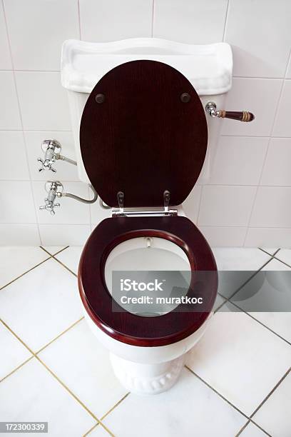 Toilet Stock Photo - Download Image Now - Adult, Bathroom, Brown