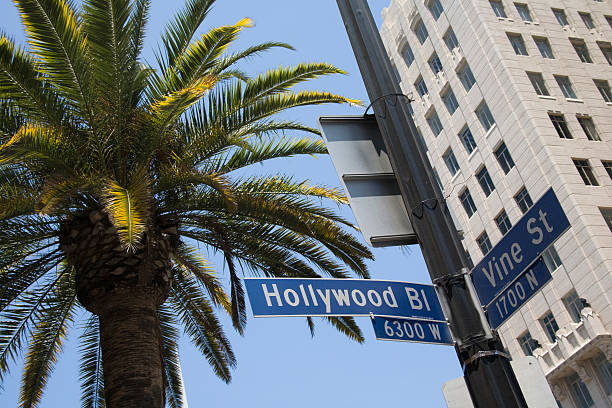 istock Hollywood & Vine street sign with palm tree and building 172300699
