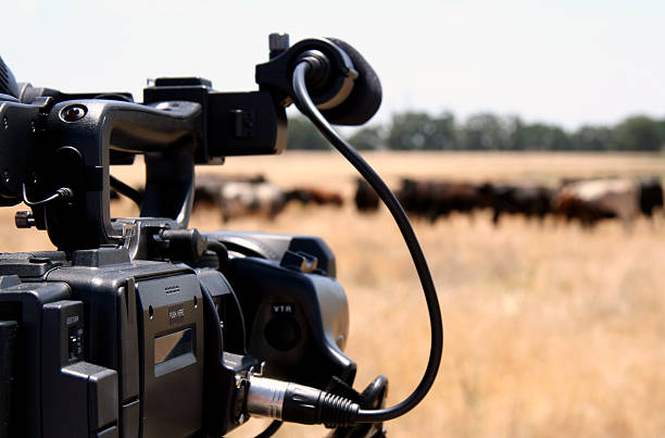 High Def Camera A camera filming a documentary in the country.I would love to see how these photos get used. def picture photos stock pictures, royalty-free photos & images