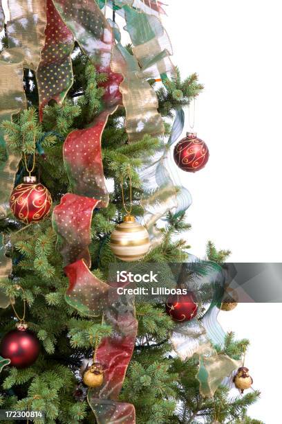 Oh 크리스마스 트리 Xl 0명에 대한 스톡 사진 및 기타 이미지 - 0명, 공휴일, 나무