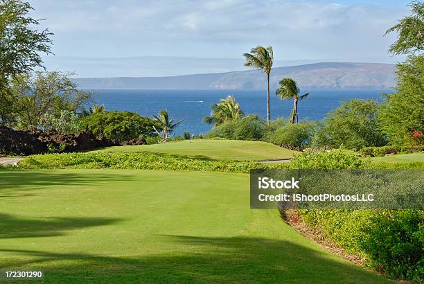 Maui Golf Tee Box Stock Photo - Download Image Now - Maui, Golf, Palm Tree