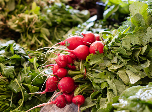 Greens and red radishes on market stall in organic bazaar. Selective Focus.