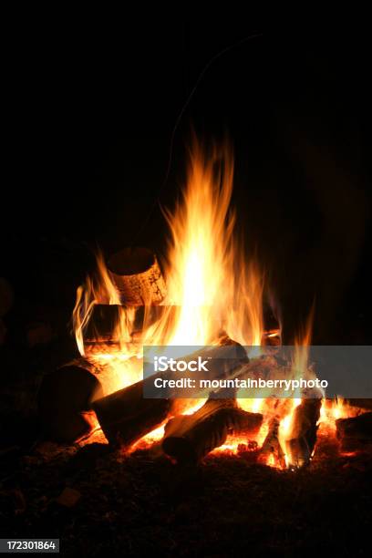 Camp Fire - Fotografie stock e altre immagini di Ambientazione esterna - Ambientazione esterna, Bruciare, Caccia - Sport con animali