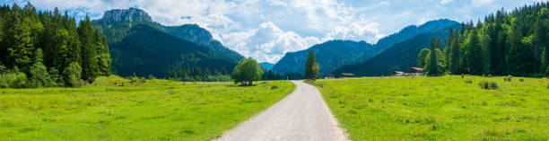 istock Alpine pasture in Bavaria in summer 1723026808