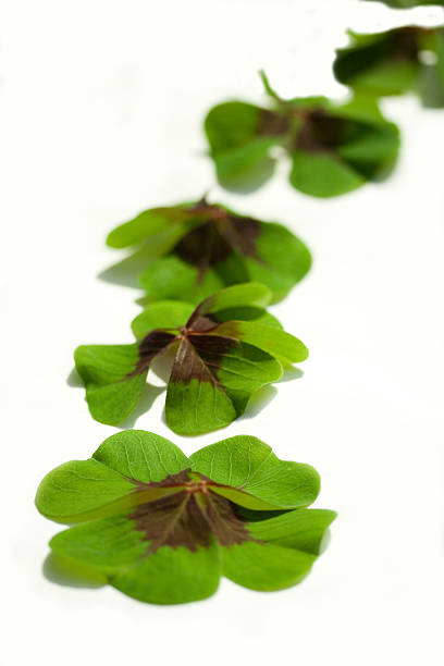 istock Road of Luck 172303005