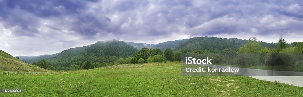 Green field - Mountain Landscape SCROLL DOWN for more XXXL Green Field Landscape photos :) Agricultural Field Stock Photo