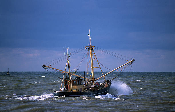 istock Fishing boat at rough sea 172303141